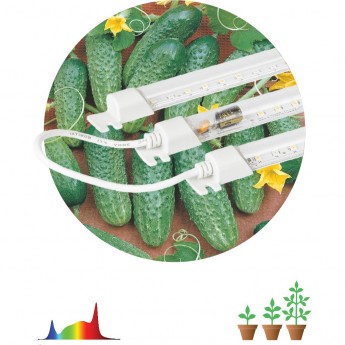 Модульный светильник для растений ЭРА FITO-3х10W-LINE-Ra90 полного спектра 30 Вт Модульный светильник для растений ЭРА FITO-3х10W-LINE-Ra90 полного спектра 30 Вт