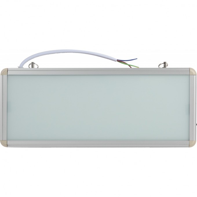 Аварийный светильник ЭРА SSA-101-0-20 светодиодный 3ч 3Вт без текста стикер 358х145 мм B0044387