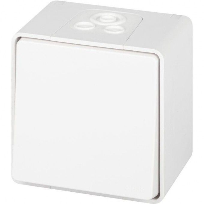 Переключатель ЭРА ЭКСПЕРТ Б0063301 11-1503-01 IP55 10АХ-250В ОУ белый B0063301