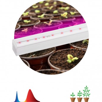 Светильник для растений ЭРА FITO-9W-Т5-N красно-синего спектра 9 Вт Т5 Светильник для растений ЭРА FITO-9W-Т5-N красно-синего спектра 9 Вт Т5